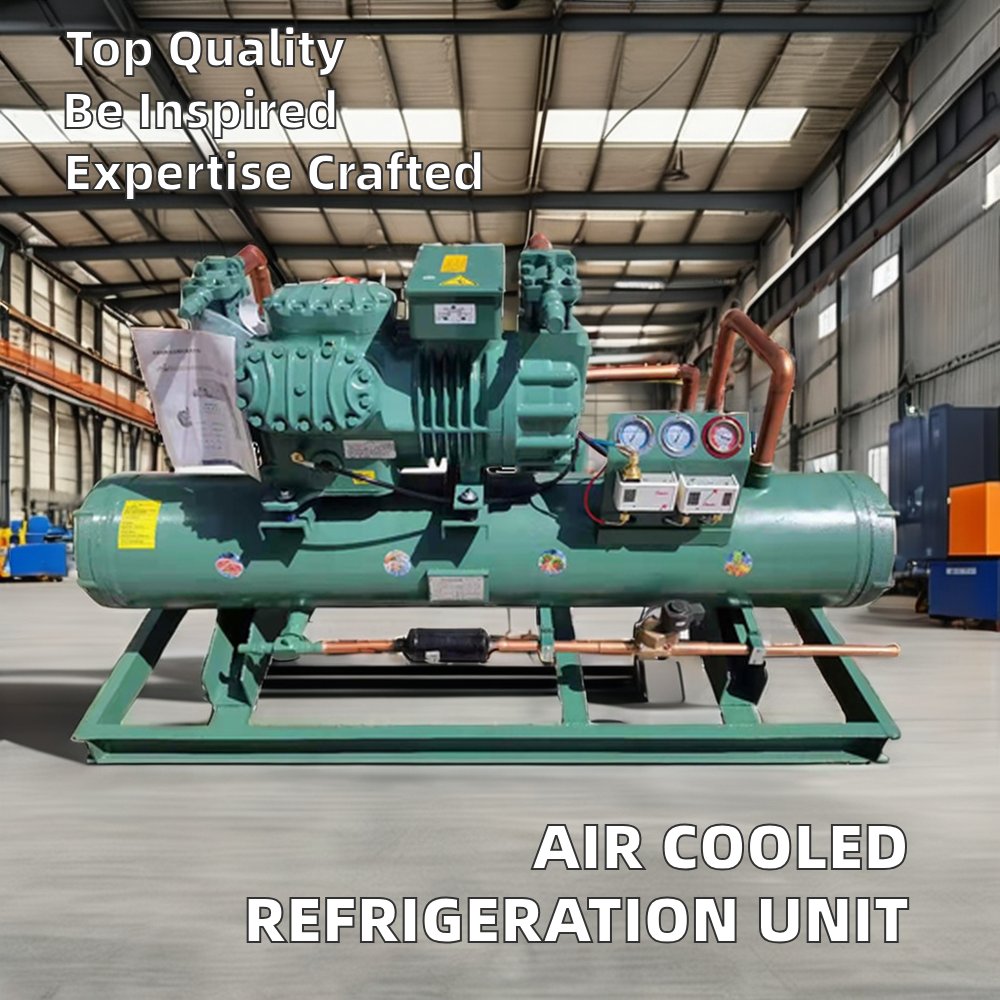 Bitzer Compressor Air Cooled Refrigeration Unit 5hp-20hp Motor Engine Freezer Restaurant New Cold Room Condensing Units