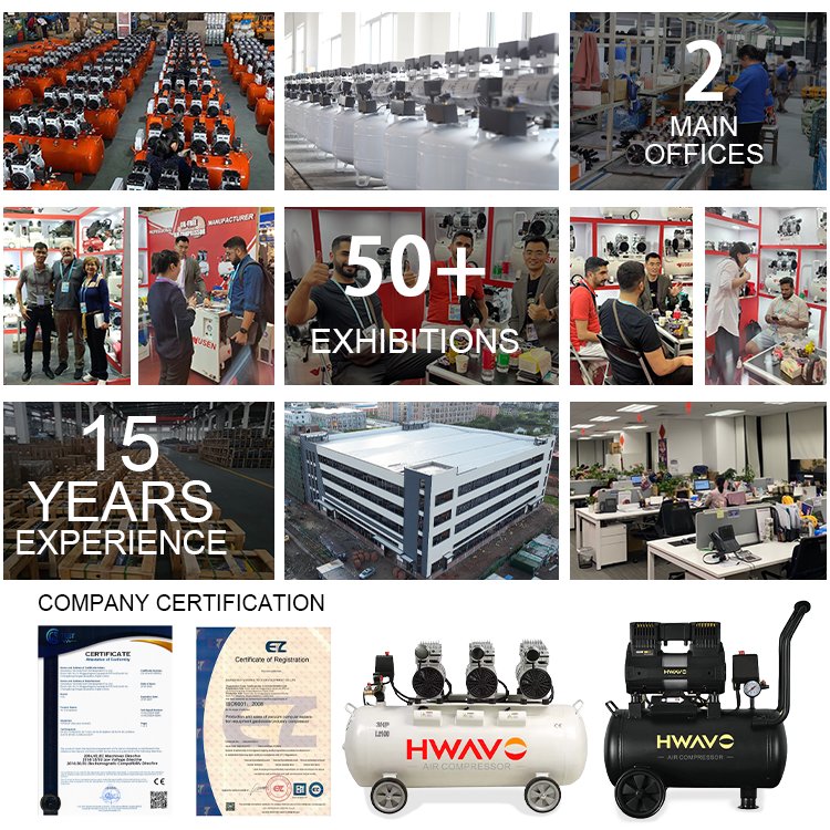 China Supplier Aluminum Air Compressor Piston 100L 3 HP 405L/min Silent Oil Free Air Compressor for Sale