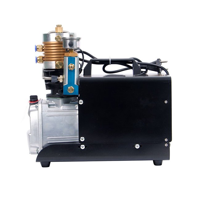 Micro Motor Price Piston Head 60 bar air Compressor