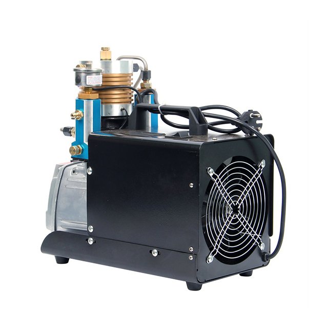 Micro Motor Price Piston Head 60 bar air Compressor