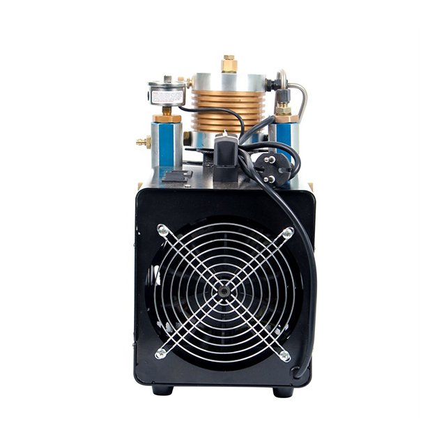 Micro Motor Price Piston Head 60 bar air Compressor