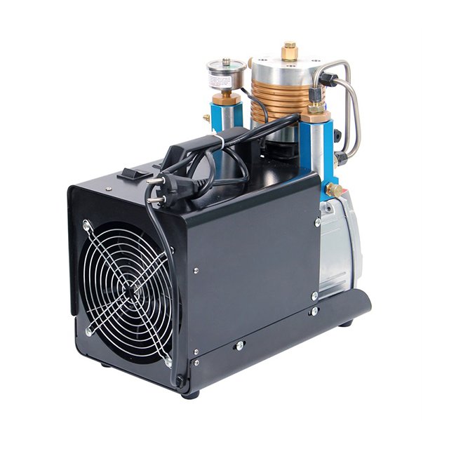 Micro Motor Price Piston Head 60 bar air Compressor