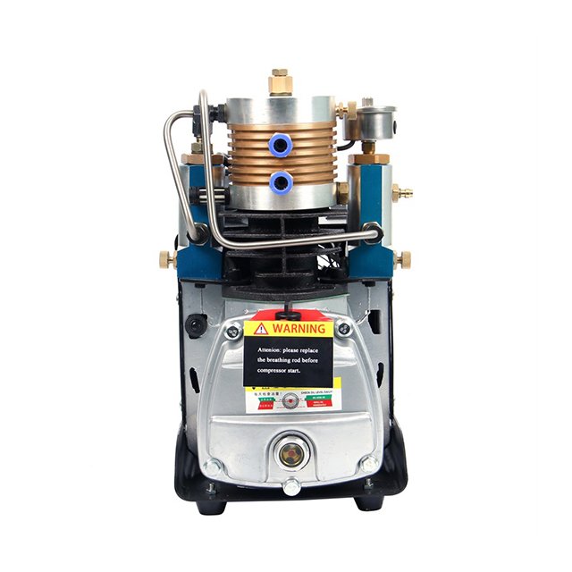 Micro Motor Price Piston Head 60 bar air Compressor