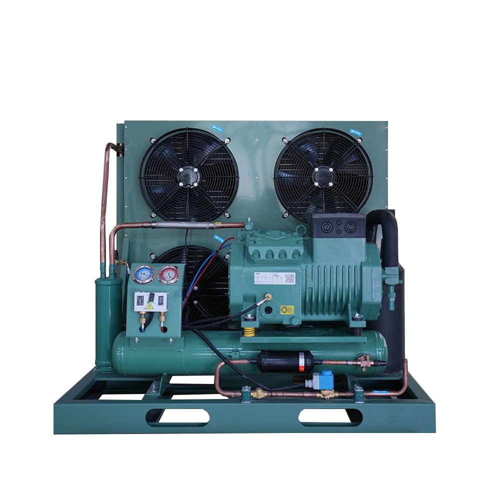 2025 Factory Fast Cooling Speed Germany Air Cooled Compressor Condensing Unit for Cooling System Refrigeration Cold Room Bitzee