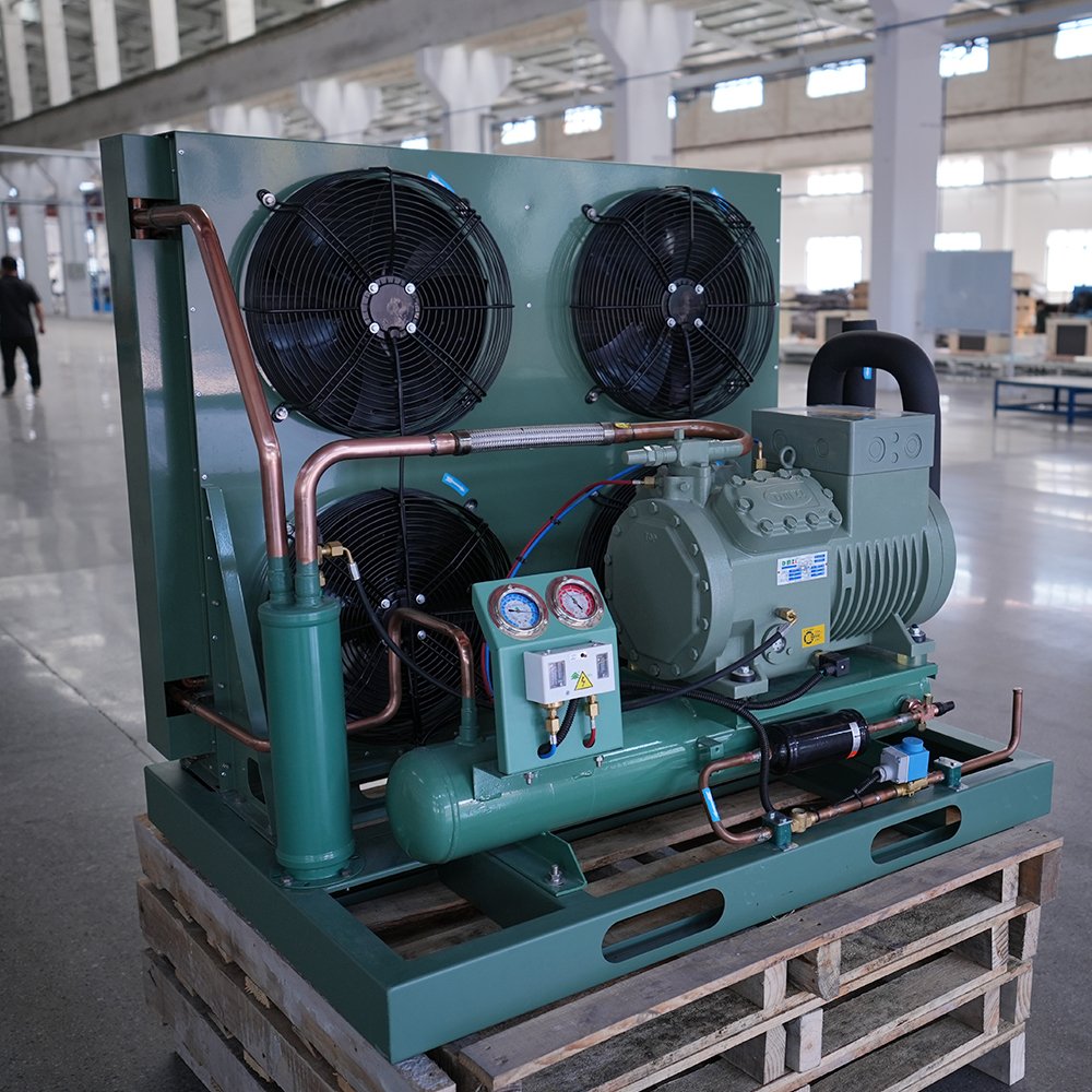 2025 Factory Fast Cooling Speed Germany Air Cooled Compressor Condensing Unit for Cooling System Refrigeration Cold Room Bitzee
