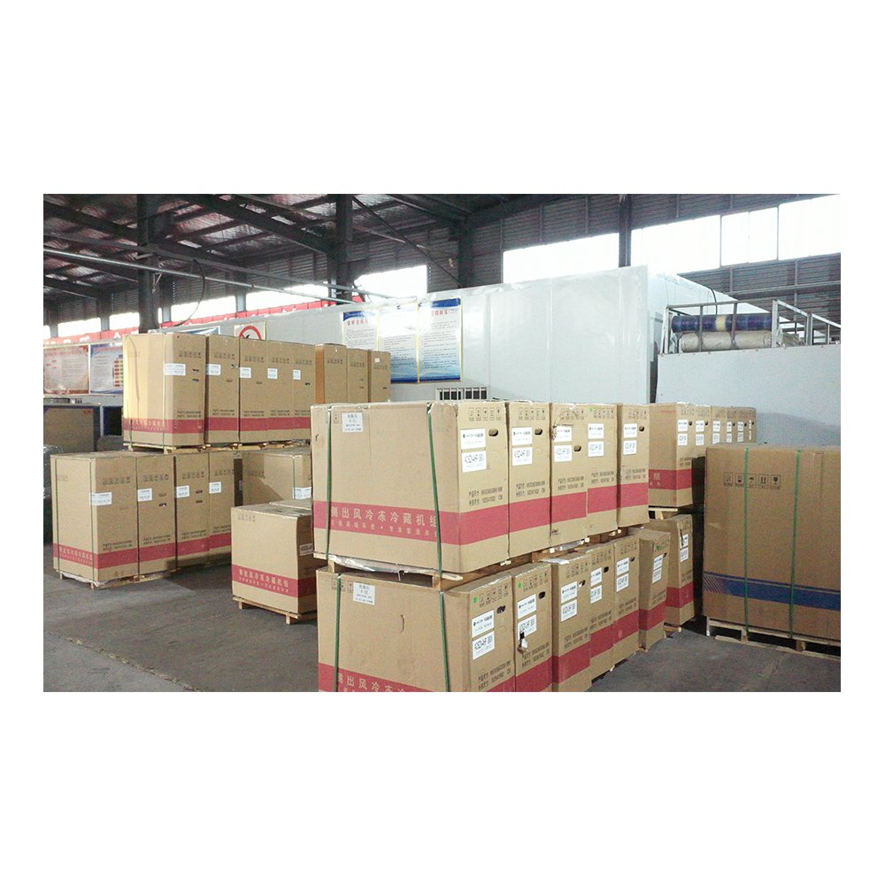 Hot-sell Compressor Refrigeration Unit Air Cooled Condens Unit HBP 6Hp Condensing Unit With Motor Cooling Fans Chiller