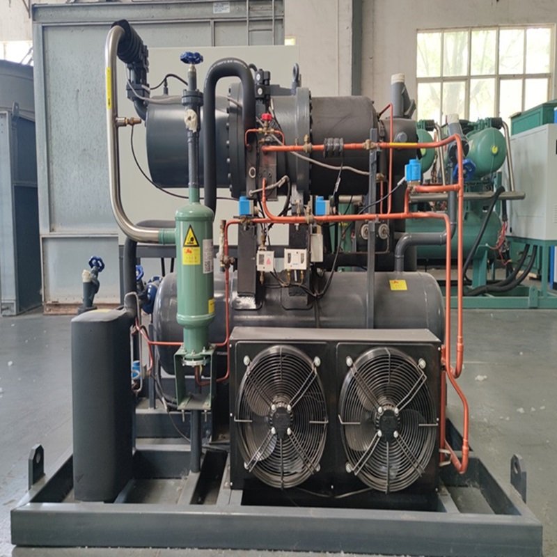 Factory Supply Big Power Screw Air-Cooled Compressor Condensing Unit for Cooling System Refrigeration