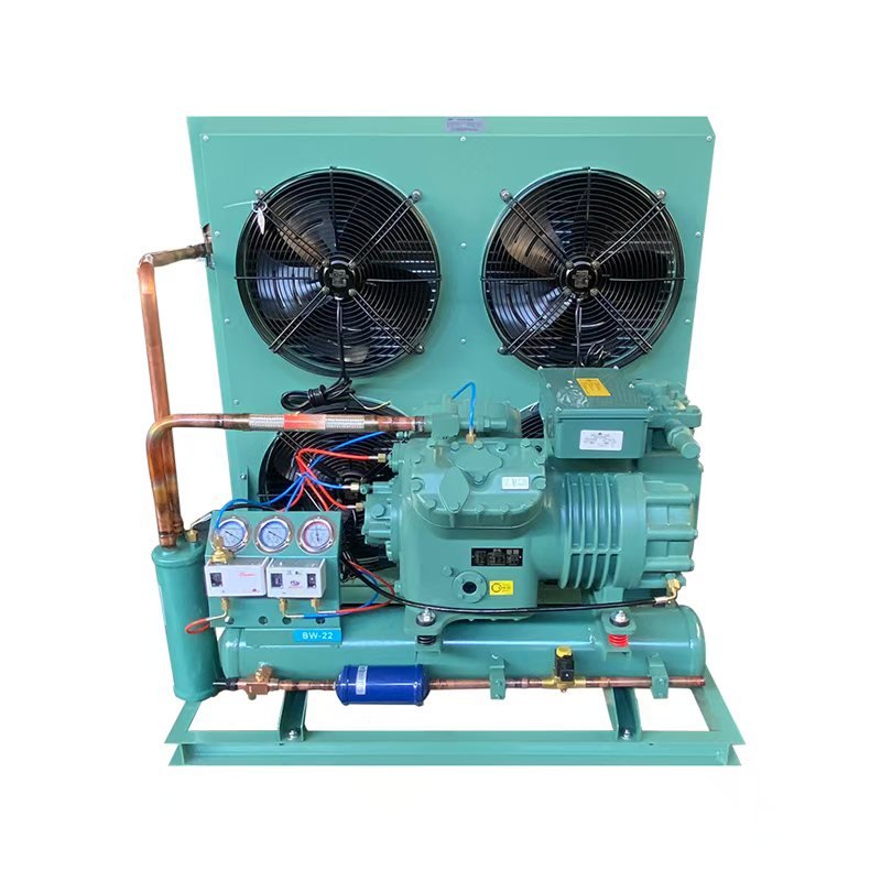 Source Manufacturer Semi Hermetic Compressor air Cooled Refrigeration Unit Condensing Units for Manufacturing Plant