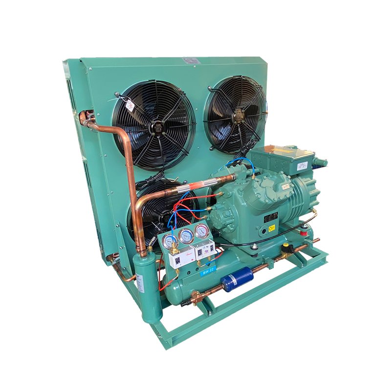 Source Manufacturer Semi Hermetic Compressor air Cooled Refrigeration Unit Condensing Units for Manufacturing Plant