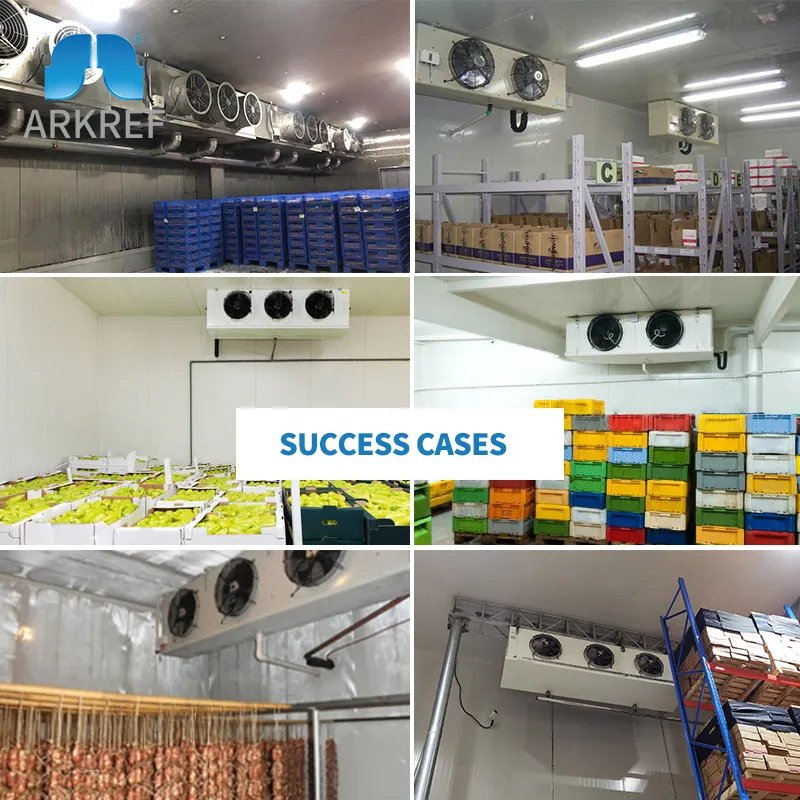 Cold Fan Evaporator Condenser Used for Refrigeration Condensing Units, Refrigerated Rooms, Freezers