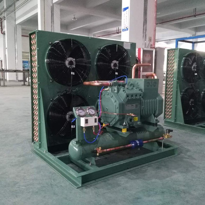 EMTH 3-15hp Low Temperature Condensing Units Coldroom Air Condenser Units Cooler
