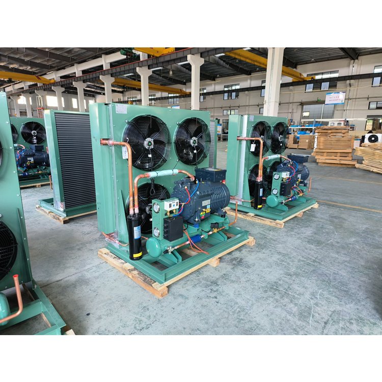 EMTH 3-15hp Low Temperature Condensing Units Coldroom Air Condenser Units Cooler