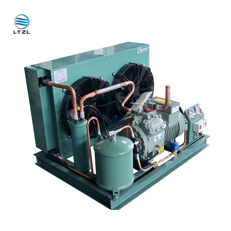 Various Styles 5Hp 8hp15hp 25hp 40hp 380v Condensing Unit air Cooled Condenser Unit Refrigerator Condensing Unit Supplier