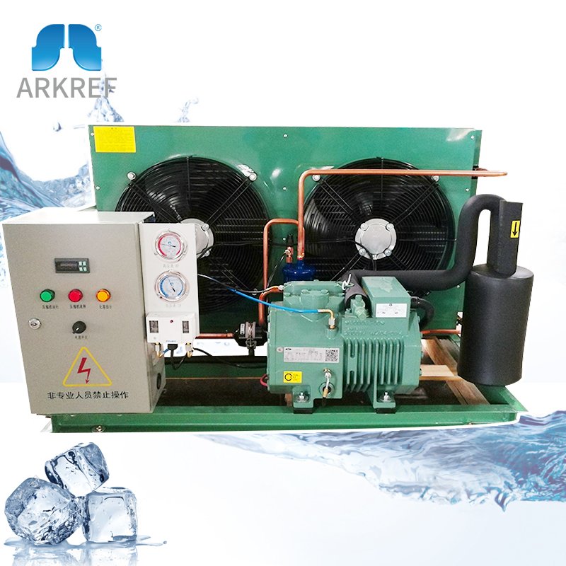 ARKREF High Quality Brand Air Cooled Condensing Unit Cold Room Refrigeration Compressor Condenser Unit for Freezer Chiller