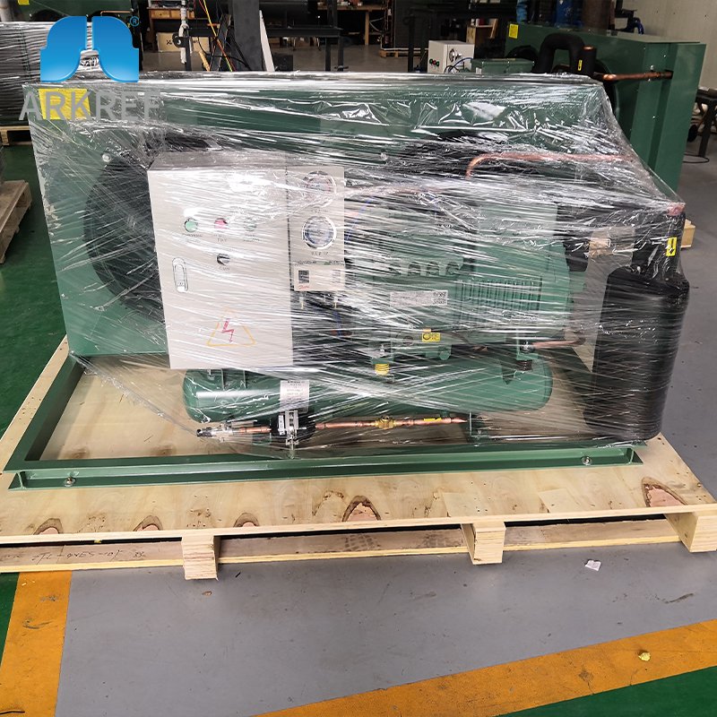 ARKREF High Quality Brand Air Cooled Condensing Unit Cold Room Refrigeration Compressor Condenser Unit for Freezer Chiller