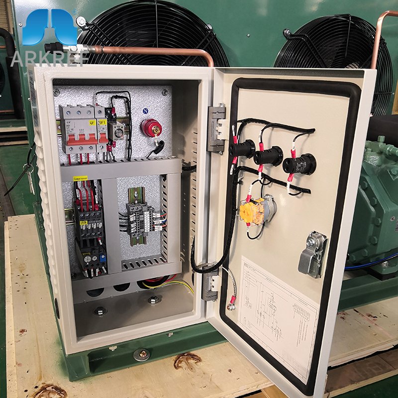 ARKREF High Quality Brand Air Cooled Condensing Unit Cold Room Refrigeration Compressor Condenser Unit for Freezer Chiller
