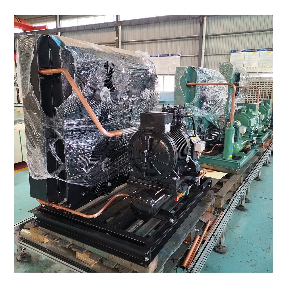 Cold Room 30HP Walk in Cooler Refrigeration Condenser Unit Compressor Condensing Unit for Chili Cold Storage Room