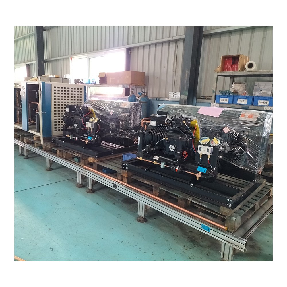 Cold Room 30HP Walk in Cooler Refrigeration Condenser Unit Compressor Condensing Unit for Chili Cold Storage Room