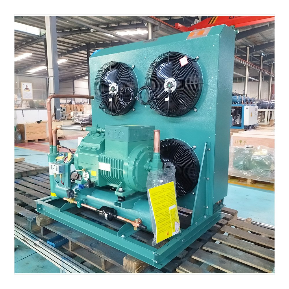 Cold Room 30HP Walk in Cooler Refrigeration Condenser Unit Compressor Condensing Unit for Chili Cold Storage Room
