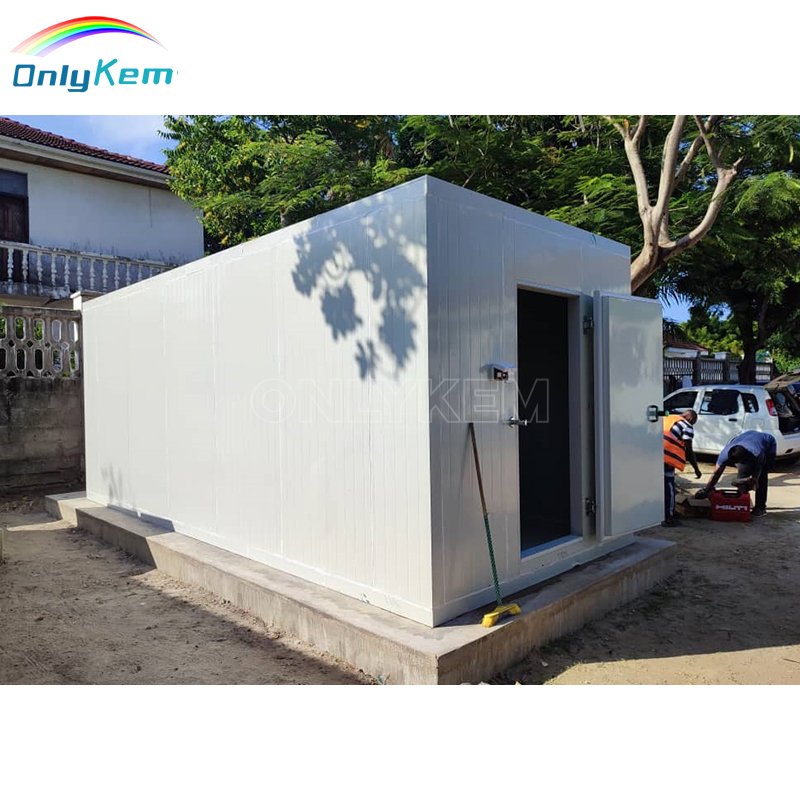 Walk in Chiller Chamber Froide Freezer Storage Industrial Cold Room for Seafood