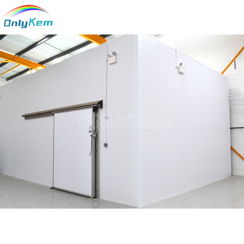 Walk in Chiller Chamber Froide Freezer Storage Industrial Cold Room for Seafood