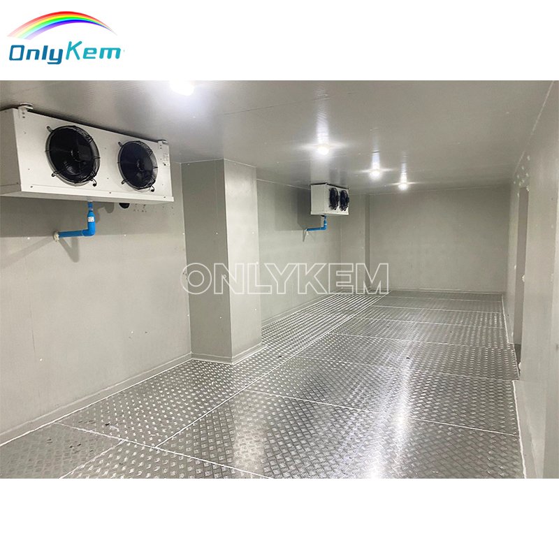 Walk in Chiller Chamber Froide Freezer Storage Industrial Cold Room for Seafood