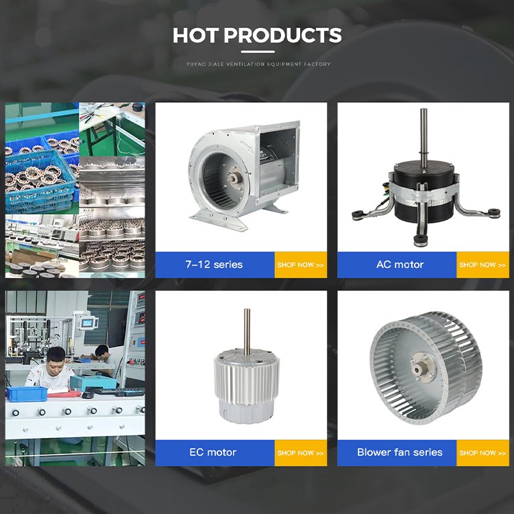 High Volume Airflow Air Conditioning Horizontal Centrifugal Blower Two Fans Direct Drive EC Motor Fan