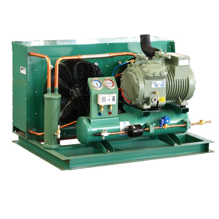 Lucky Star Cold Chain Refrigeration Heat Exchange Parts 6HP Air Condensers Cooler Cold Storage Freezer Tecumseh Condensing Units