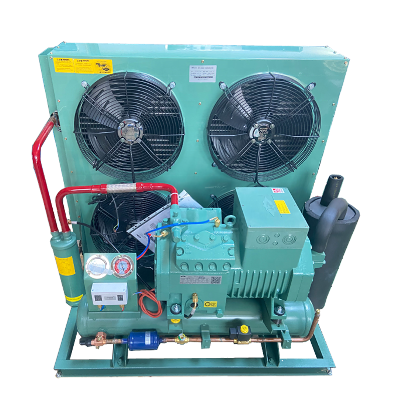 40hp 35hp 30hp 25hp 20hp air Cooled Condensing Unit with Semi Hermetic Piston Compressor