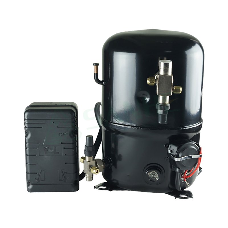Factory OEM 2hp 3hp 4hp French AC Piston R404a Compressor
