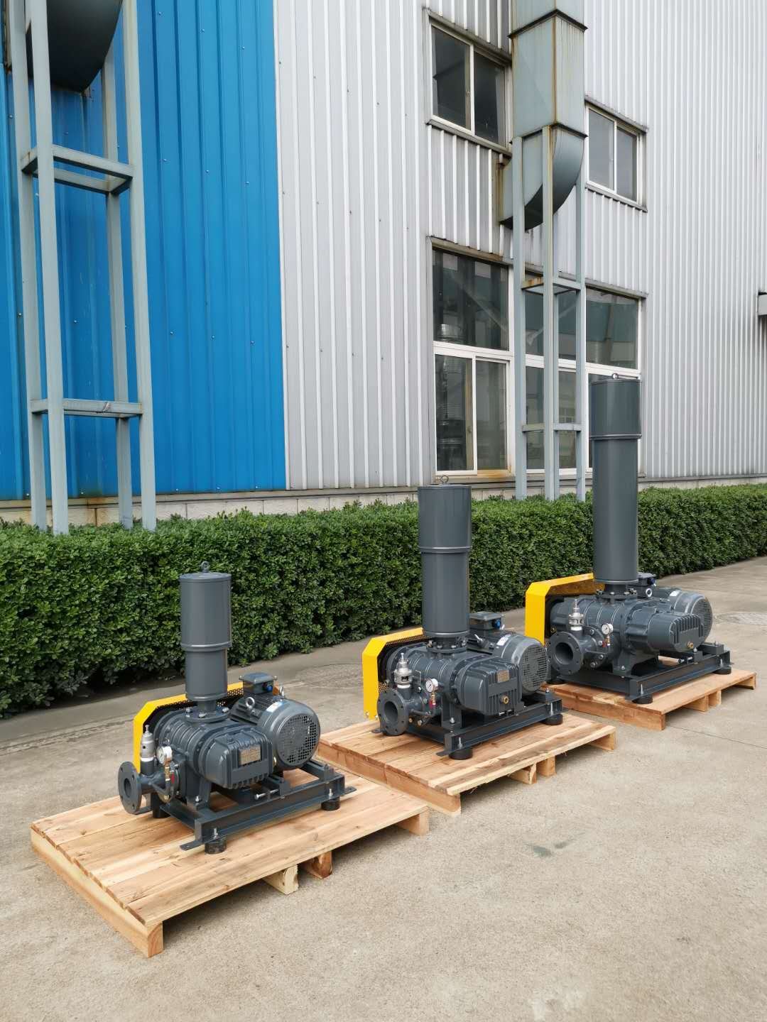 Sewage Treatment Compressor Industrial Air Blowers Roots Blower for Vacuum Aquaculture Aeration