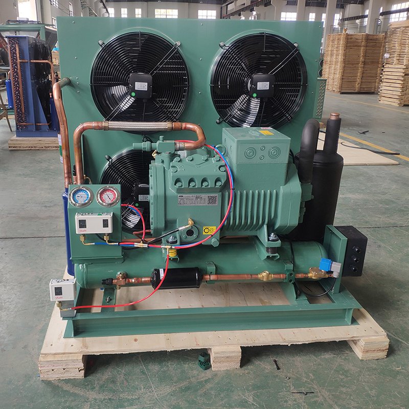 RUIXUE Freezer Open Type Semi-Hermetic Compressor Condensing Unit Coldroom Air Condenser