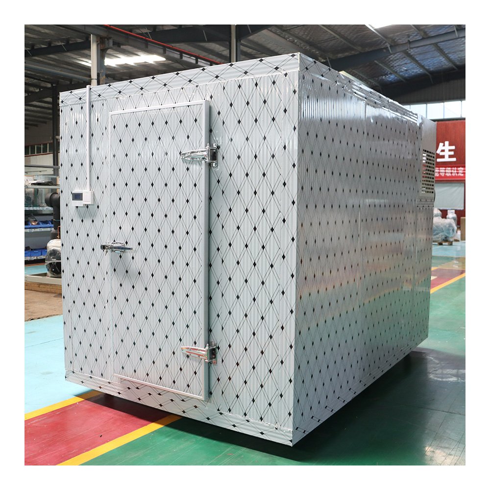 Direct Sales Cold Blast Chiller With Super Insulation and Temperature Adjustable Features