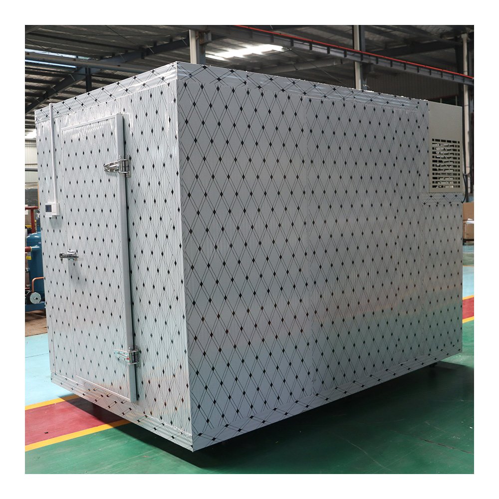 Direct Sales Cold Blast Chiller With Super Insulation and Temperature Adjustable Features