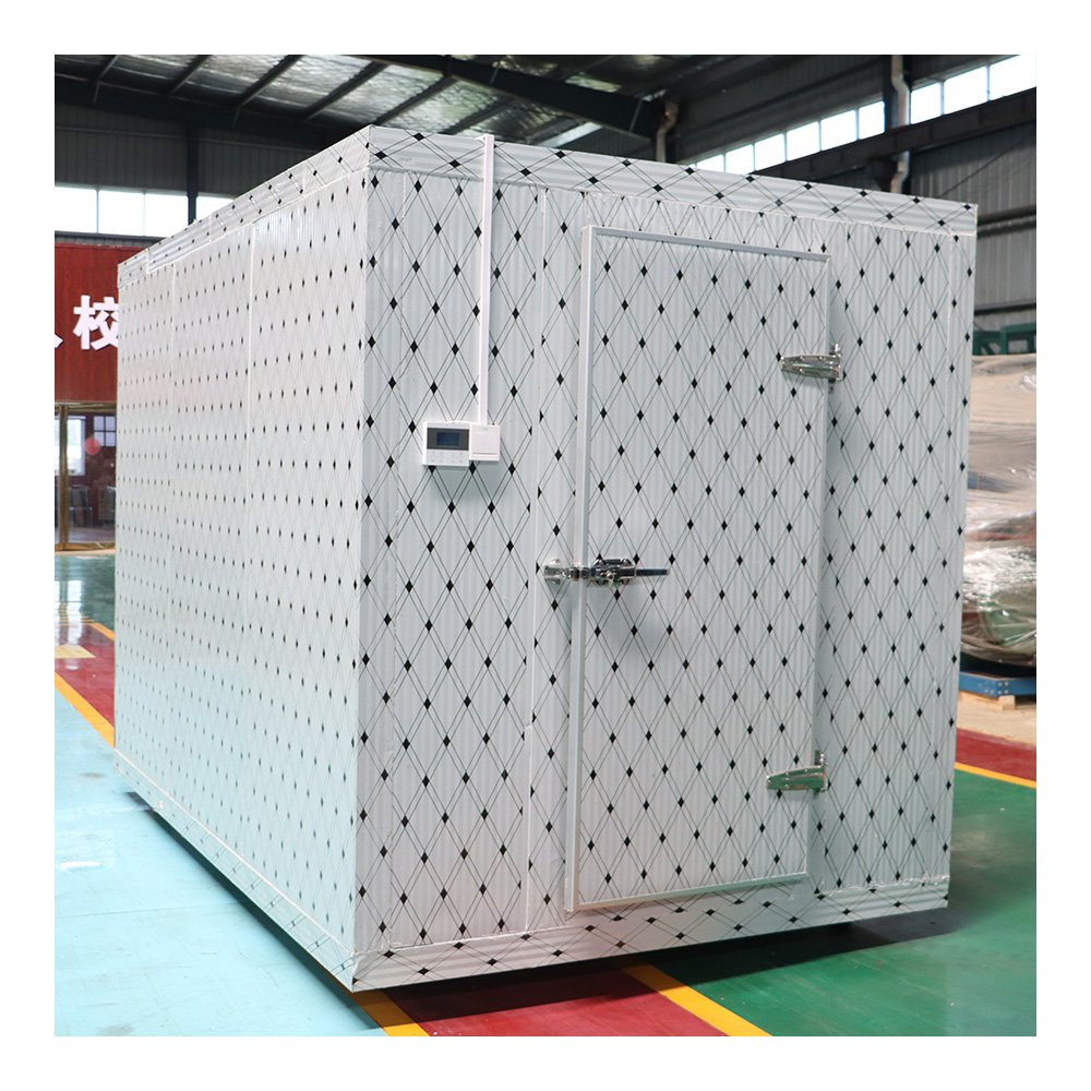 Direct Sales Cold Blast Chiller With Super Insulation and Temperature Adjustable Features