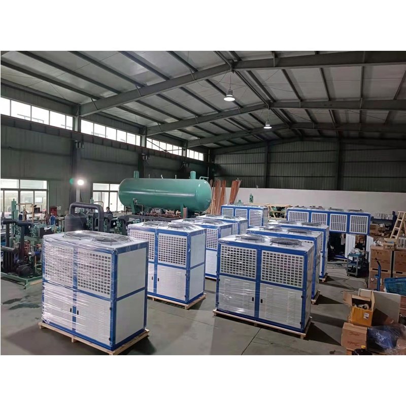 10 Ton Emerson Compressor Condensing Unit Air-Cooled Refrigeration Unit for Cold Room Blast Freezer Restaurants
