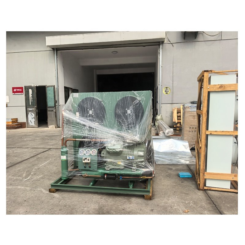 10 Ton Emerson Compressor Condensing Unit Air-Cooled Refrigeration Unit for Cold Room Blast Freezer Restaurants