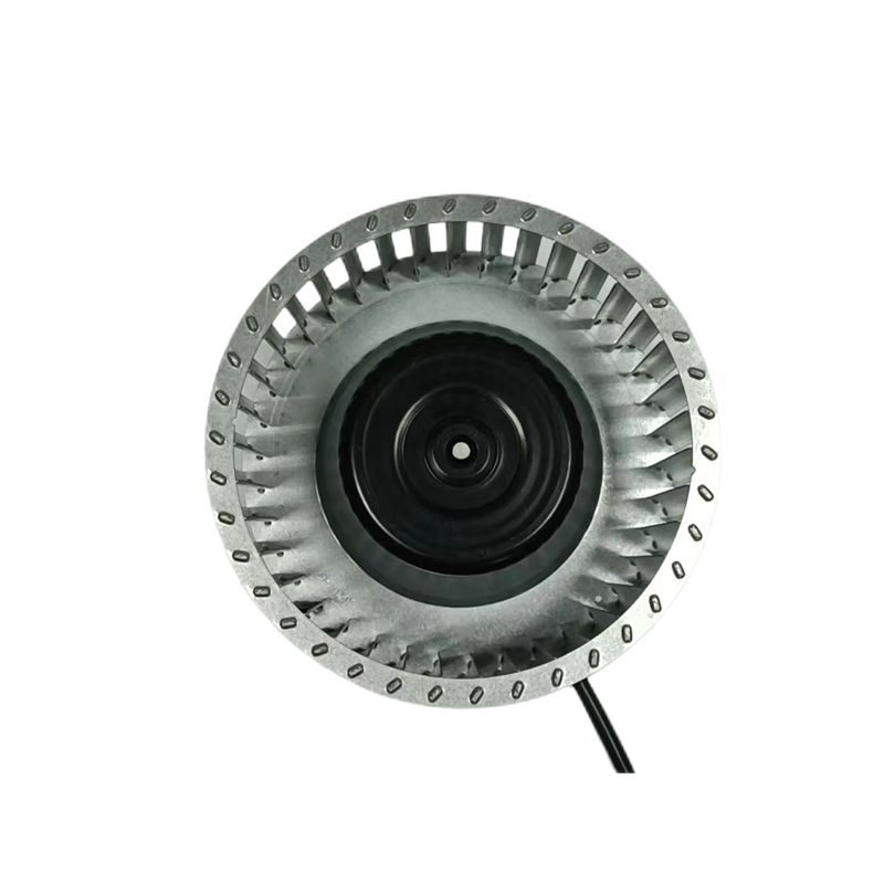 DC 140mm 1750rpm Forward Curved Exhaust Industrial Centrifugal Blower Fan Galvanized Blade Air Filtration Fan for Restaurants