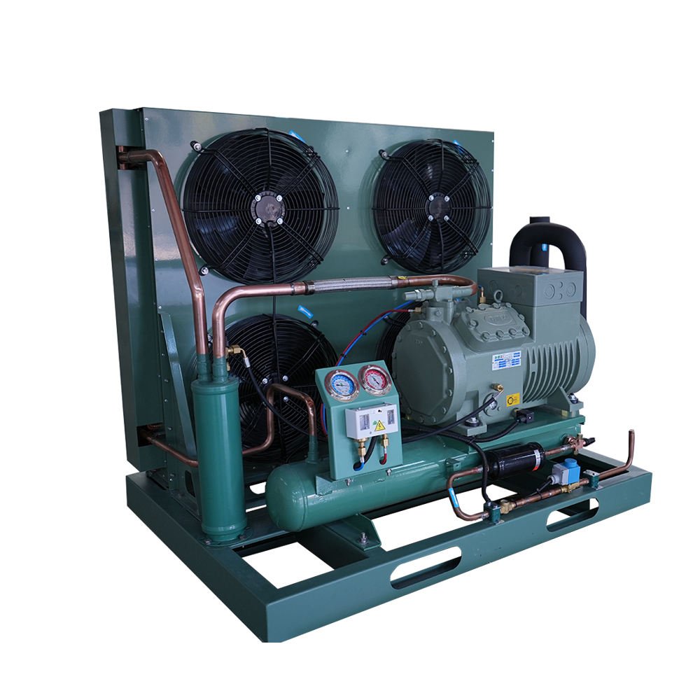 Reliable Semi Hermetic Refrigeration Compressors Cold Room Bitzer Inverter Condensing Unit Factory Core Motor Shop