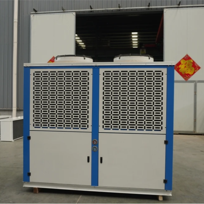 Custom 15hp FNVB Box Monoblock Refrigeration Unit Air Cooled Condenser PLC Control -20℃ Industrial Meat Fish Beef Cold Storage