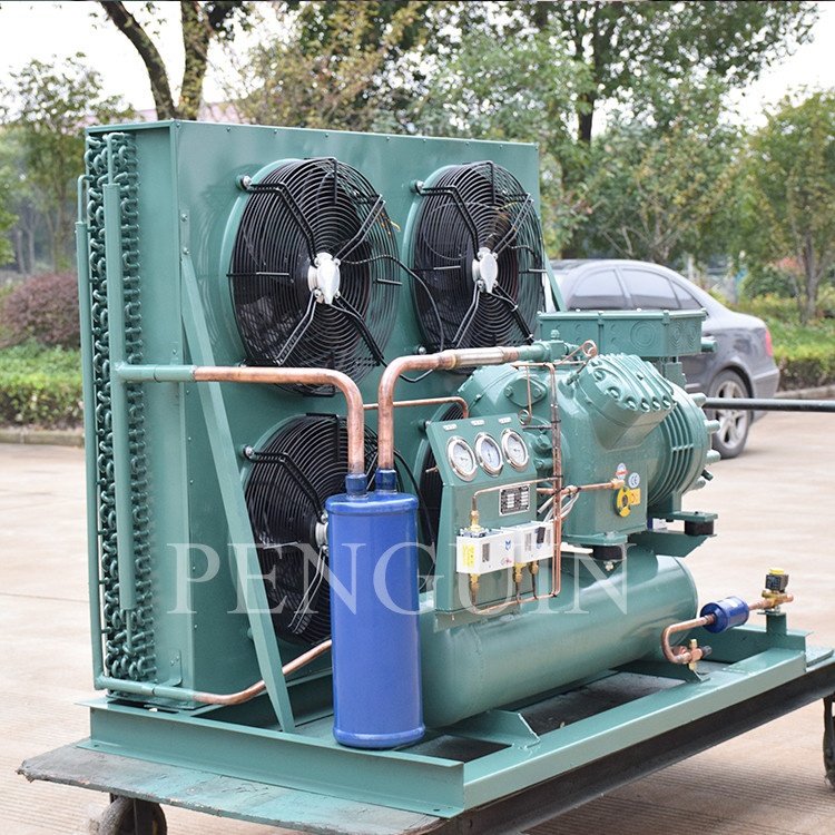 Outdoor Cold Piston Compressor Air-Cooled Condensing Unit