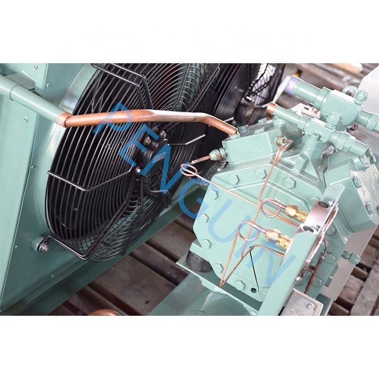 Outdoor Cold Piston Compressor Air-Cooled Condensing Unit