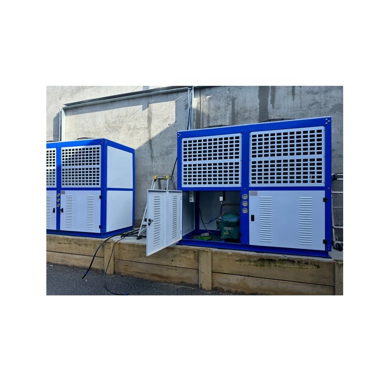 Factory 3hp 5hp 6hp 10hp Air Cooled Compressor Condensing Unit for Cooling System Refrigeration for Cold Room