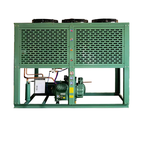 5hp 6hp 10hp 15hp 20hp Air Cooled Refrigeration Unit with Bitzer Compressor Condensing Units for Freezer Cold Room Refriger