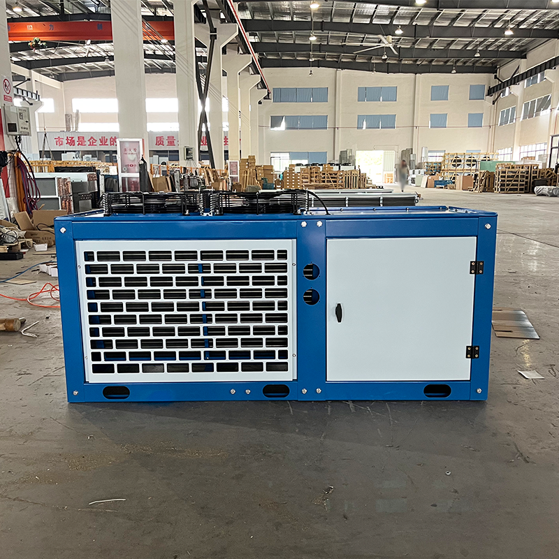 New Look Box Type Side Discharge Condensing Unit Refrigeration Unit Cold Room Freezer