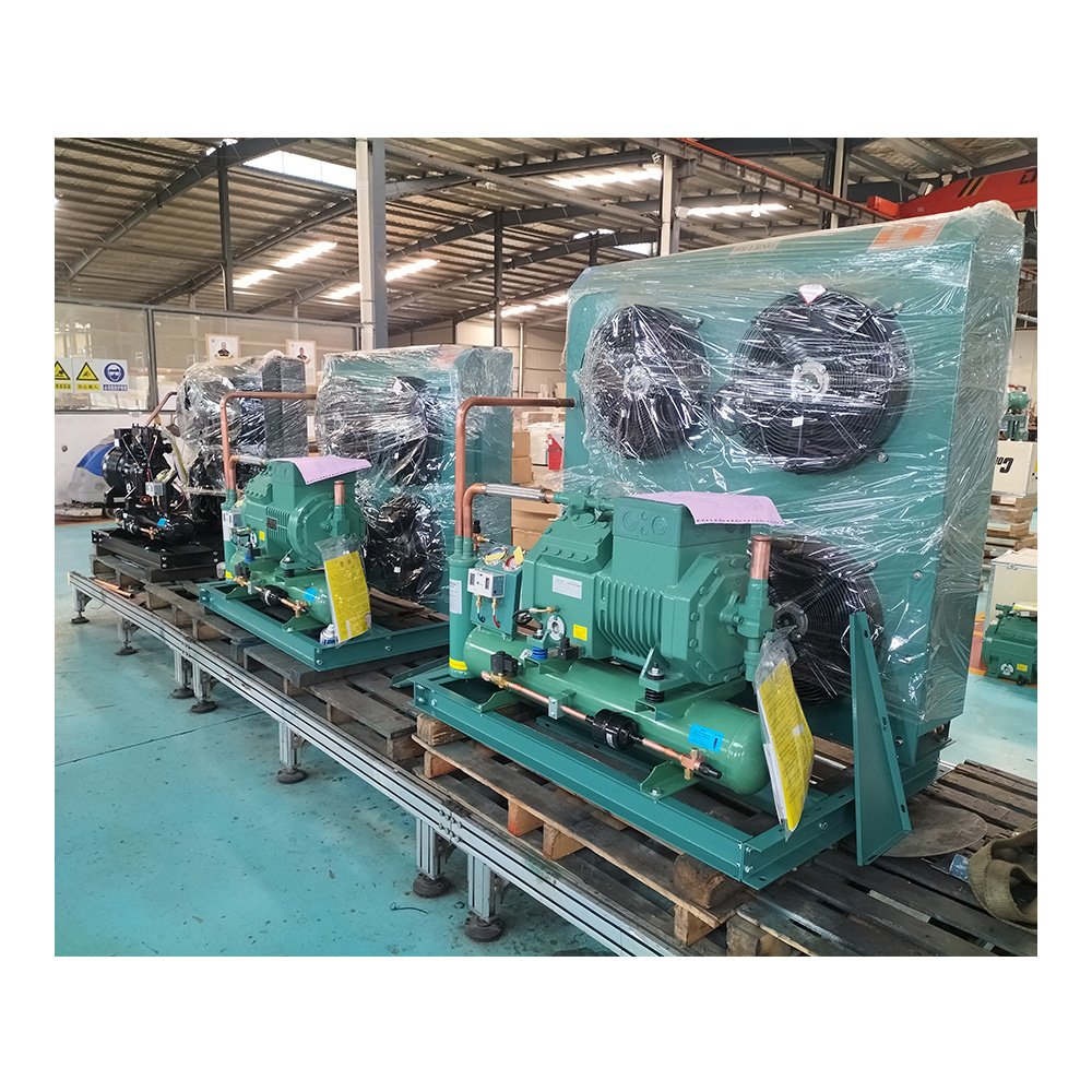 Walk in Freezer Cold Room Refrigeration Equipment Condensing Units