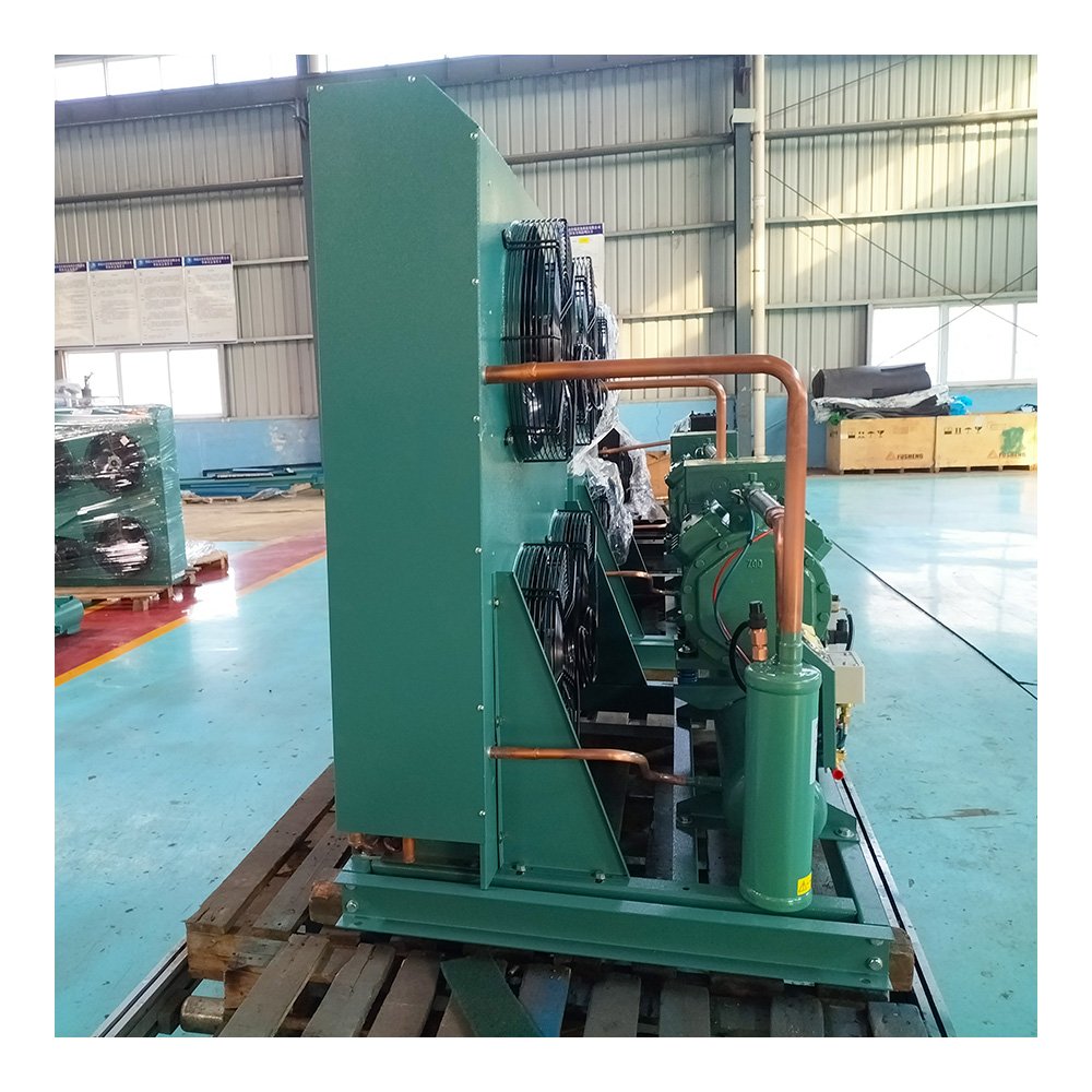 Walk in Freezer Cold Room Refrigeration Equipment Condensing Units