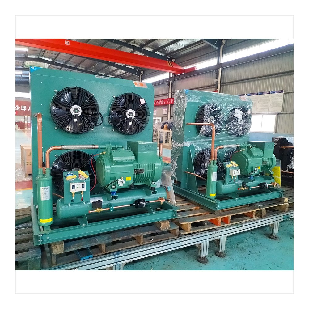 Walk in Freezer Cold Room Refrigeration Equipment Condensing Units