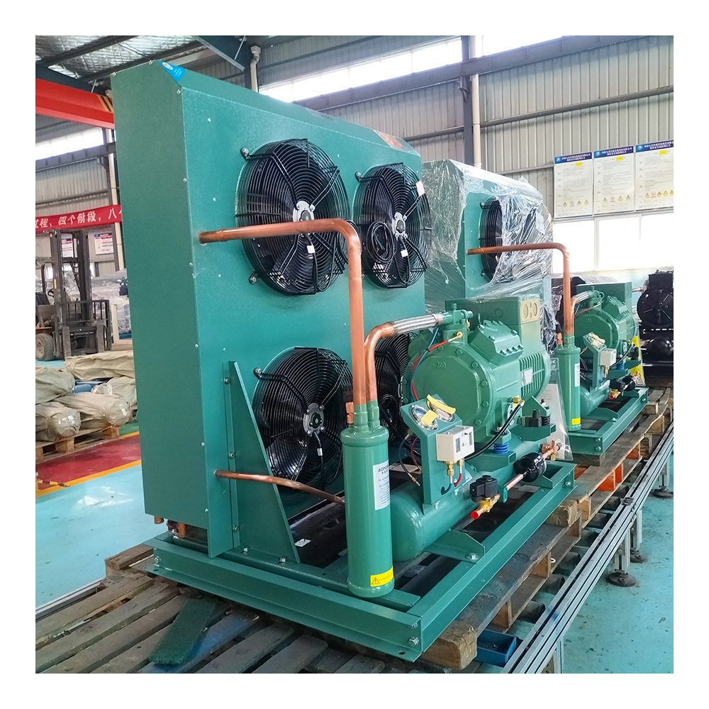 Walk in Freezer Cold Room Refrigeration Equipment Condensing Units