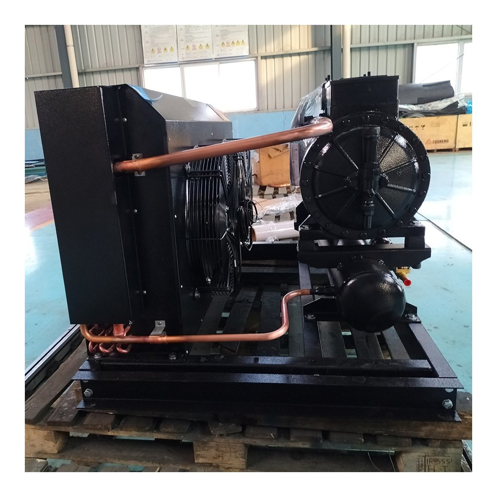 Walk in Freezer Cold Room Refrigeration Equipment Condensing Units